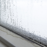 Cleaning Moldy Windows Including Glass Sill Or Frame Great Plains